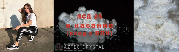 спиды Лагань
