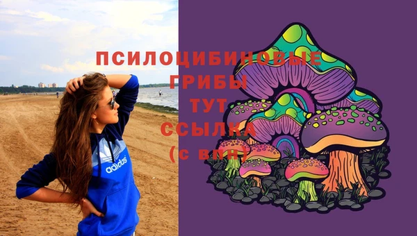 трава Ладушкин